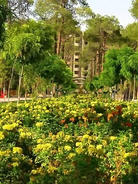 باغ جنت