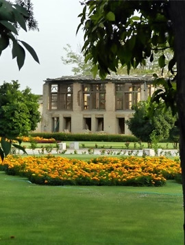 باغ جهان نما